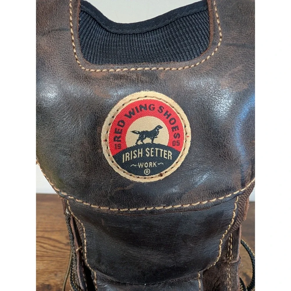 Irish Setter conquer any